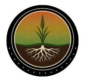 Prairie Roots Wellness